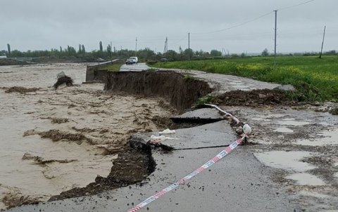 Sel avtomobil yolunu yararsız hala saldı