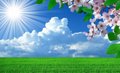 Sabah 25 dərəcə isti olacaq