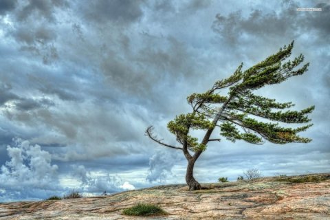 Hava küləkli olacaq - XƏBƏRDARLIQ