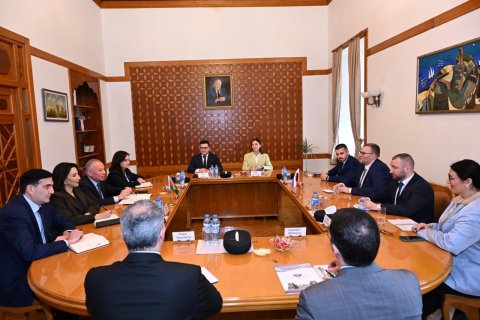 Slovakiya ombudsmanının başçılıq etdiyi nümayəndə heyəti ilə görüş keçirilib