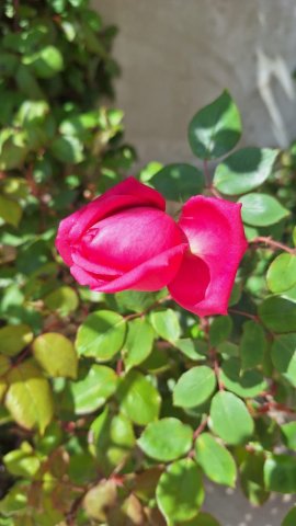 Hava proqnozu- Əhalinin nəzərinə