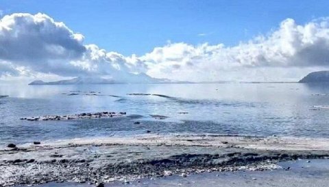 Urmudan şad xəbər