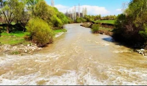 Ekoloqlar xəbərdarlıq etdi