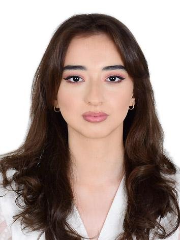 Avropanın enerji təhlükəsizliyi yeni mərhələdə: